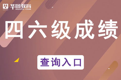 四六级成绩查询显示“未查询到相关信息”的常见原因与解决方案